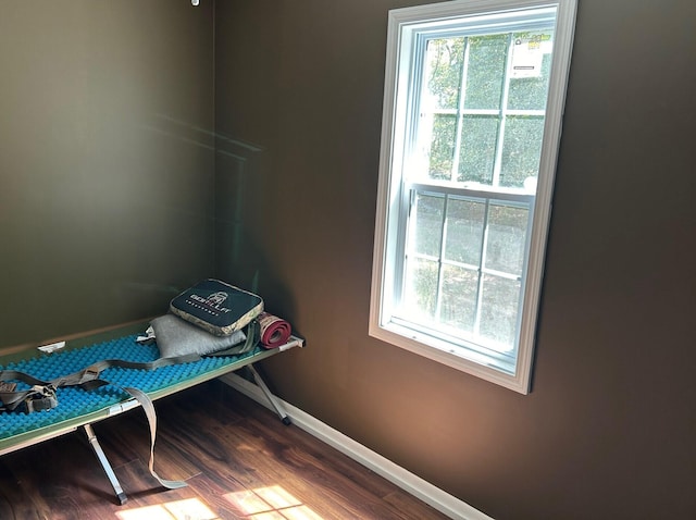 interior space featuring hardwood / wood-style flooring