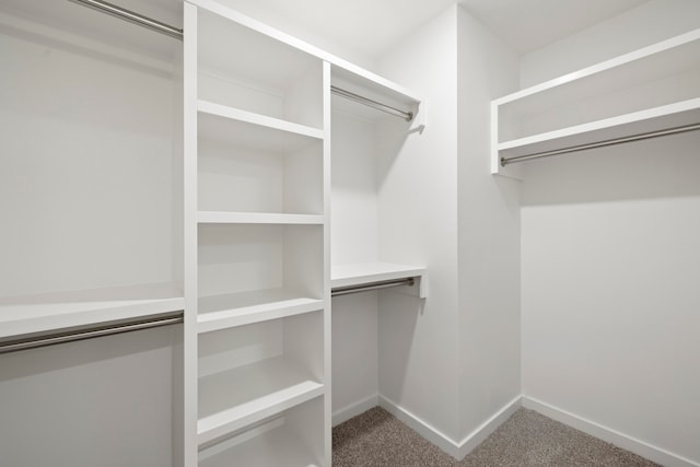 walk in closet featuring carpet