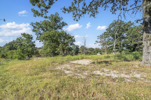 921 US Highway 160, Reeds Spring, MO 65737