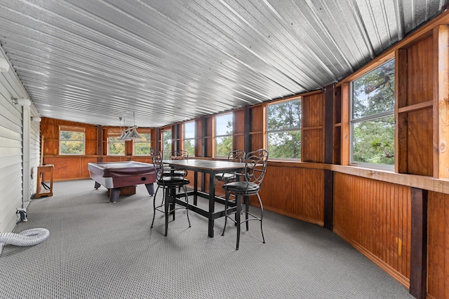 sunroom / solarium with wooden walls, carpet, billiards, and a jacuzzi