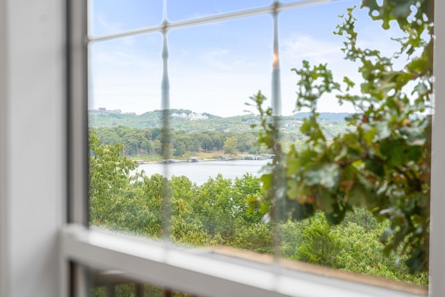 room details featuring a water view