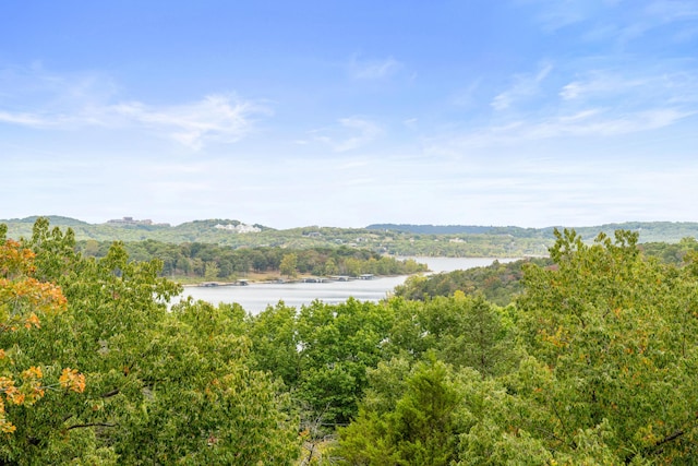 property view of water with a view of trees
