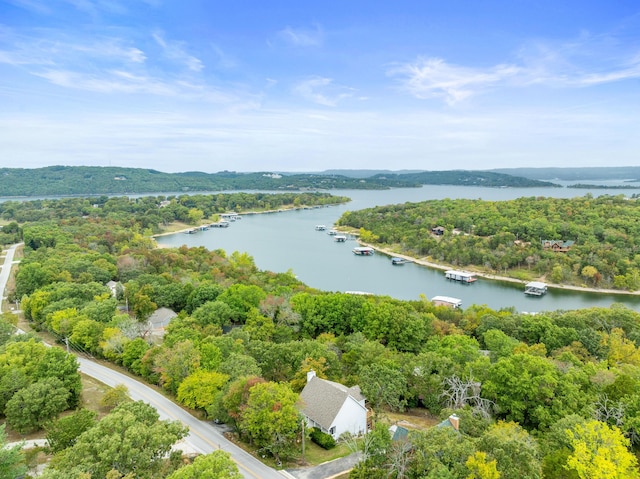 bird's eye view with a forest view and a water view