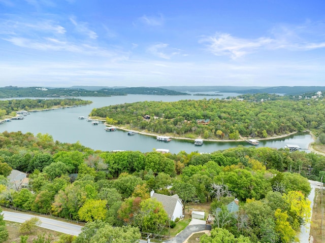 drone / aerial view with a view of trees and a water view