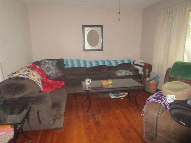 living room featuring hardwood / wood-style flooring