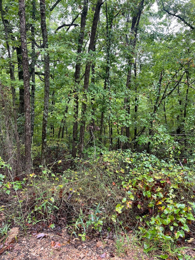 LOT7 Needles Eye Trl, Mammoth Spring AR, 72554 land for sale