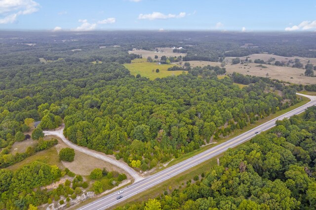808 Coon Ridge Rd, Galena, MO 65656 - photo 10