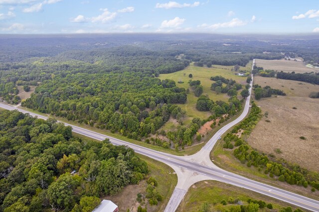 808 Coon Ridge Rd, Galena, MO 65656 - photo 11