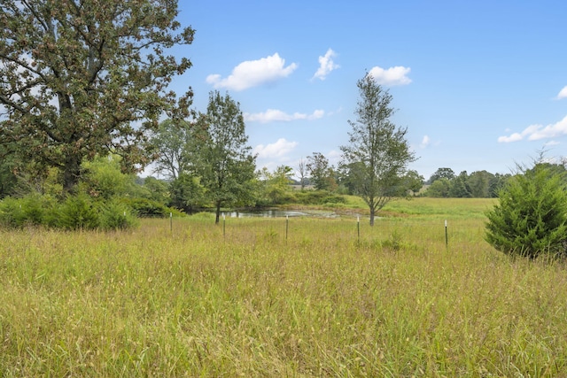 808 Coon Ridge Rd, Galena, MO 65656 - photo 17