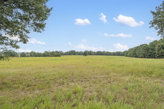 808 Coon Ridge Rd, Galena, MO 65656 - photo 15