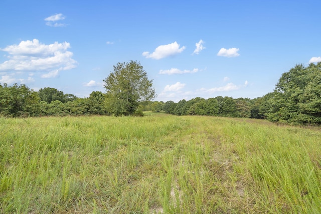808 Coon Ridge Rd, Galena, MO 65656 - photo 14