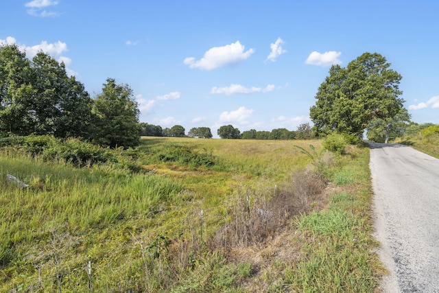 808 Coon Ridge Rd, Galena, MO 65656 - photo 13
