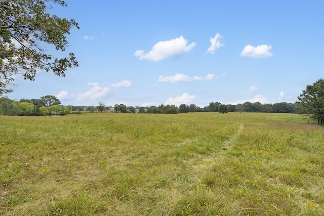 808 Coon Ridge Rd, Galena, MO 65656 - photo 16