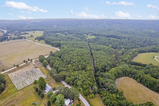 808 Coon Ridge Rd, Galena, MO 65656 - photo 4