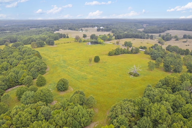 808 Coon Ridge Rd, Galena, MO 65656 - photo 8