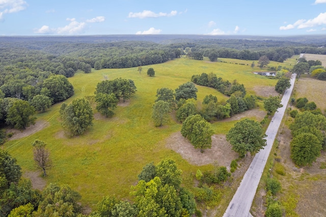 808 Coon Ridge Rd, Galena, MO 65656 - photo 7