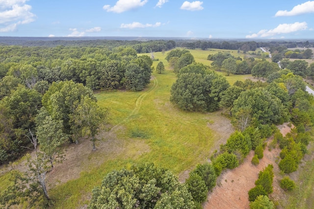 808 Coon Ridge Rd, Galena, MO 65656 - photo 12