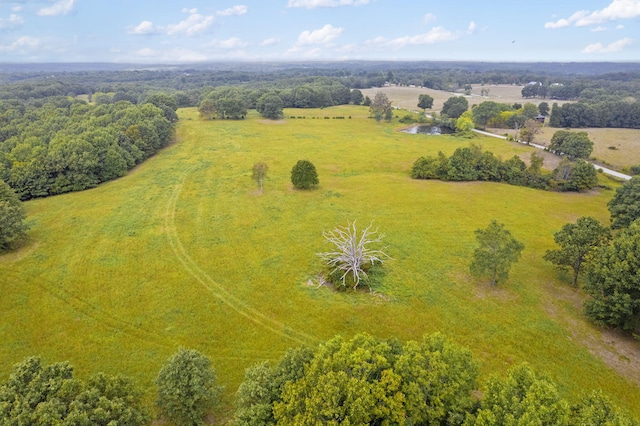 808 Coon Ridge Rd, Galena, MO 65656 - photo 9