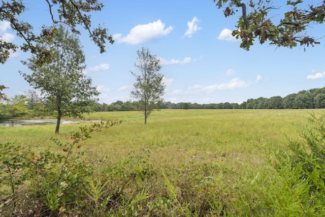 808 Coon Ridge Rd, Galena, MO 65656 - photo 18