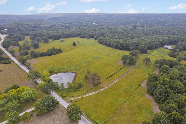 808 Coon Ridge Rd, Galena, MO 65656 - photo 5