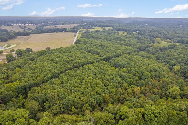 808 Coon Ridge Rd, Galena, MO 65656 - photo 3