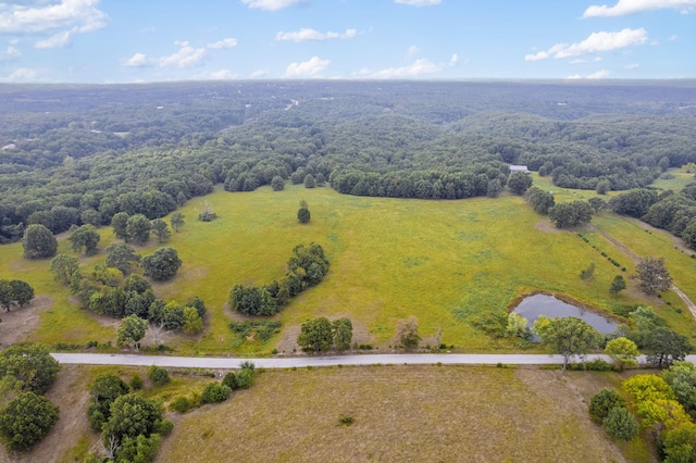 808 Coon Ridge Rd, Galena, MO 65656 - photo 6