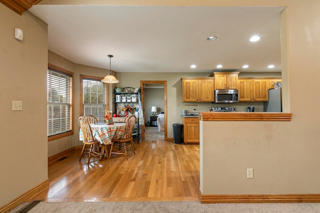 kitchen featuring hanging light fixtures, light hardwood / wood-style floors, and appliances with stainless steel finishes