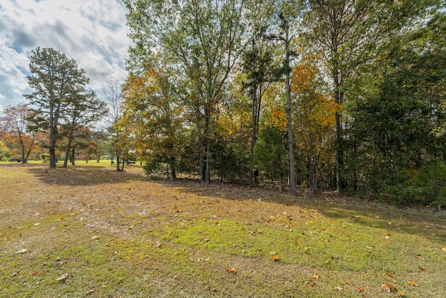 view of local wilderness