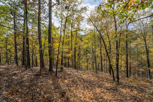 view of local wilderness