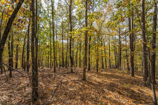 view of local wilderness