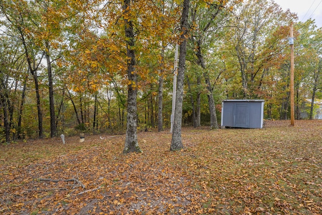 view of yard with a storage unit