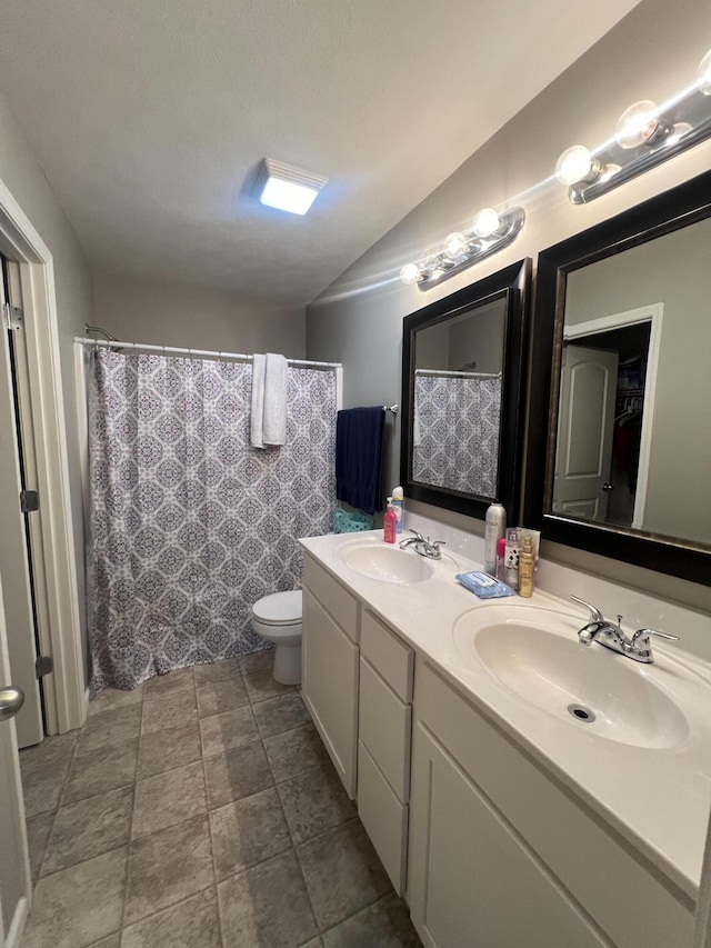 bathroom with toilet and vanity