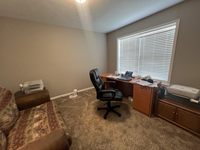 view of carpeted home office