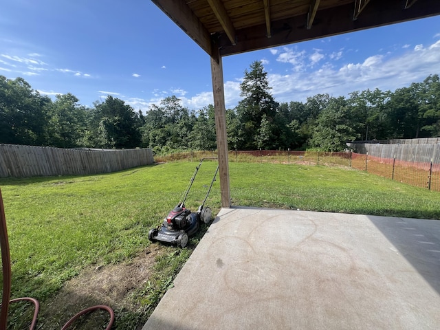 view of yard featuring a patio area