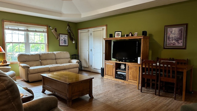 living room featuring a raised ceiling and wood-type flooring