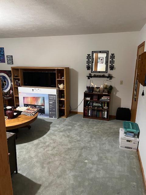 living area with baseboards, carpet flooring, and a fireplace