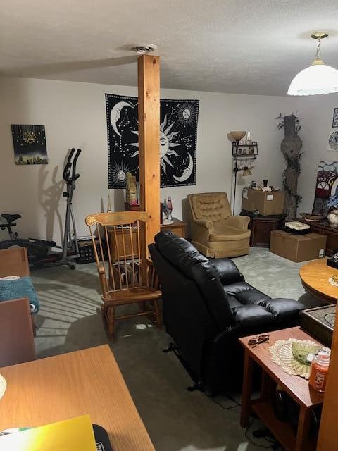 carpeted living room with a textured ceiling