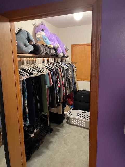 spacious closet with carpet