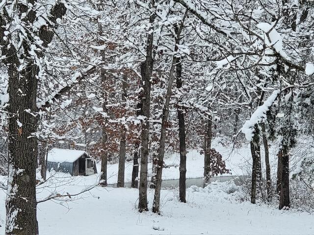 view of snowy yard