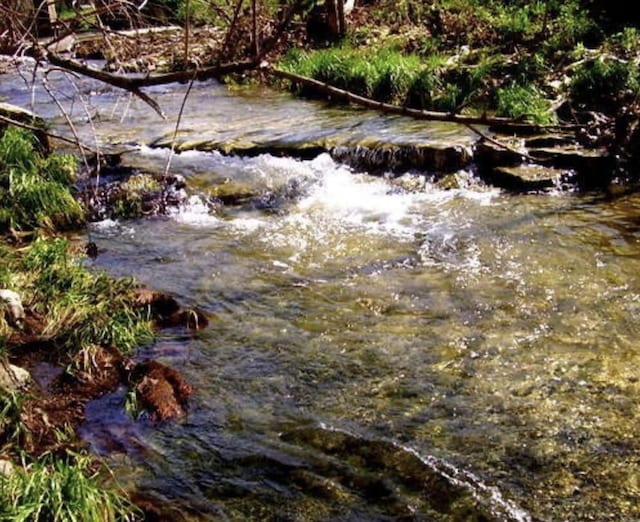 view of local wilderness