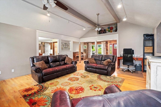 living room with ceiling fan, light hardwood / wood-style floors, and track lighting