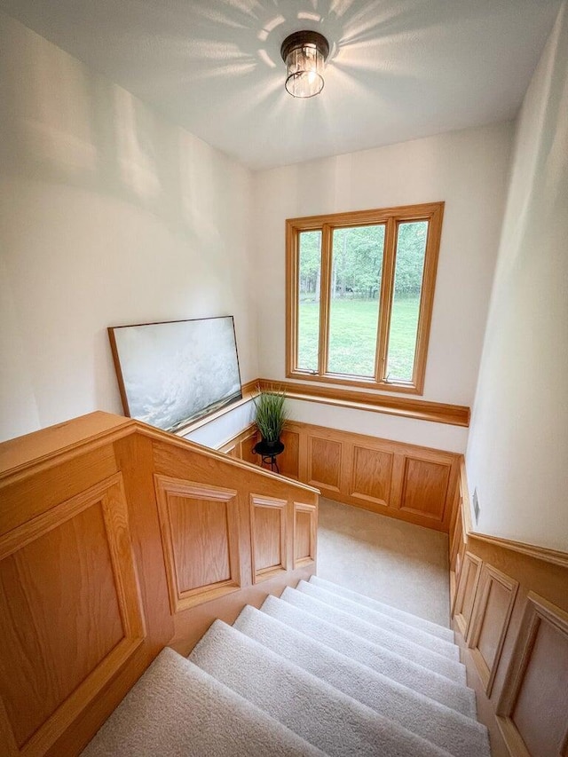 6643 E Turner Springs Dr, Springfield, MO 65809 - staircase featuring a decorative wall, a wainscoted wall, and carpet