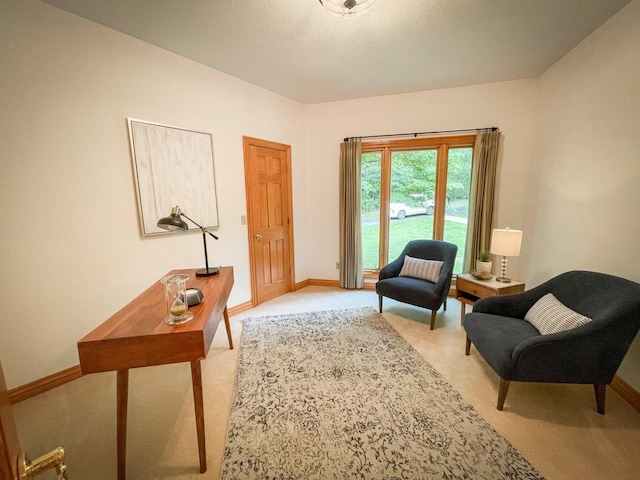 living area featuring light colored carpet