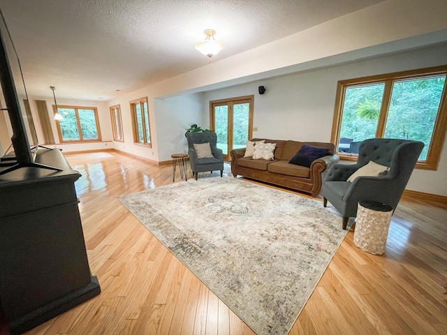 6643 E Turner Springs Dr, Springfield, MO 65809 - living room with light wood-style flooring, a textured ceiling, and a healthy amount of sunlight