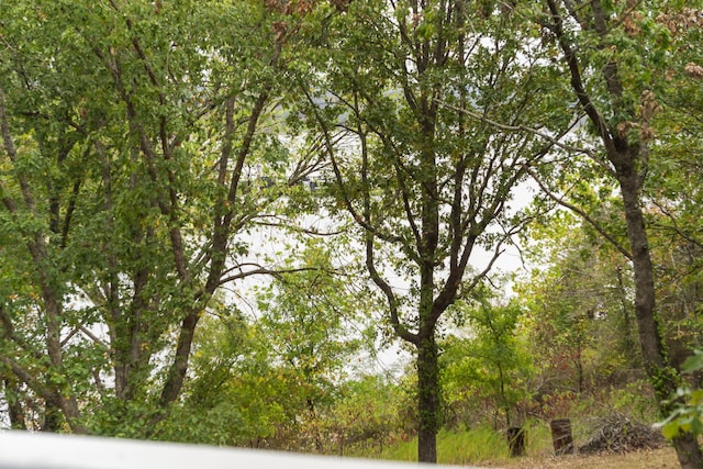 view of nature featuring a view of trees