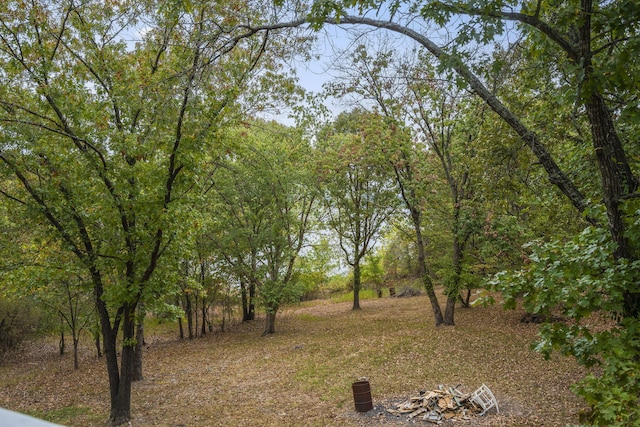 view of local wilderness