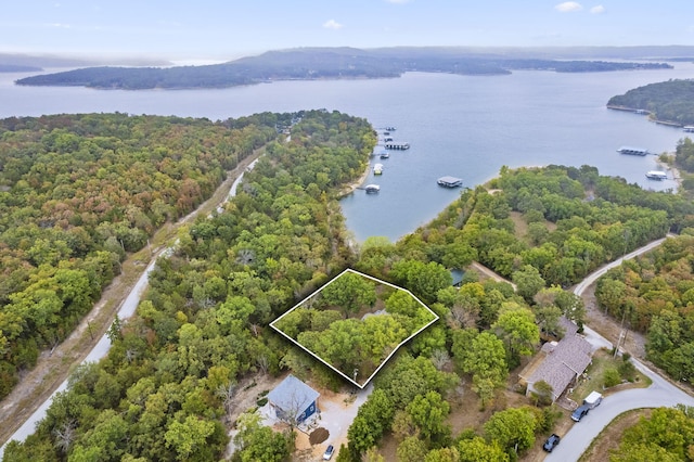 bird's eye view with a wooded view and a water view