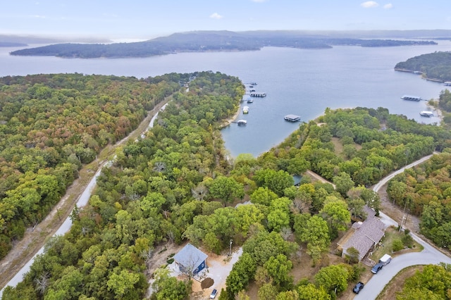 drone / aerial view featuring a view of trees and a water view