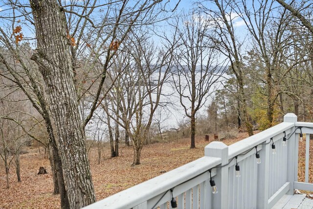 25 Palomino Ct, Lampe, MO 65681 - photo 43