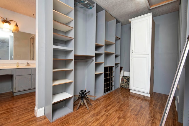 walk in closet with hardwood / wood-style flooring and sink